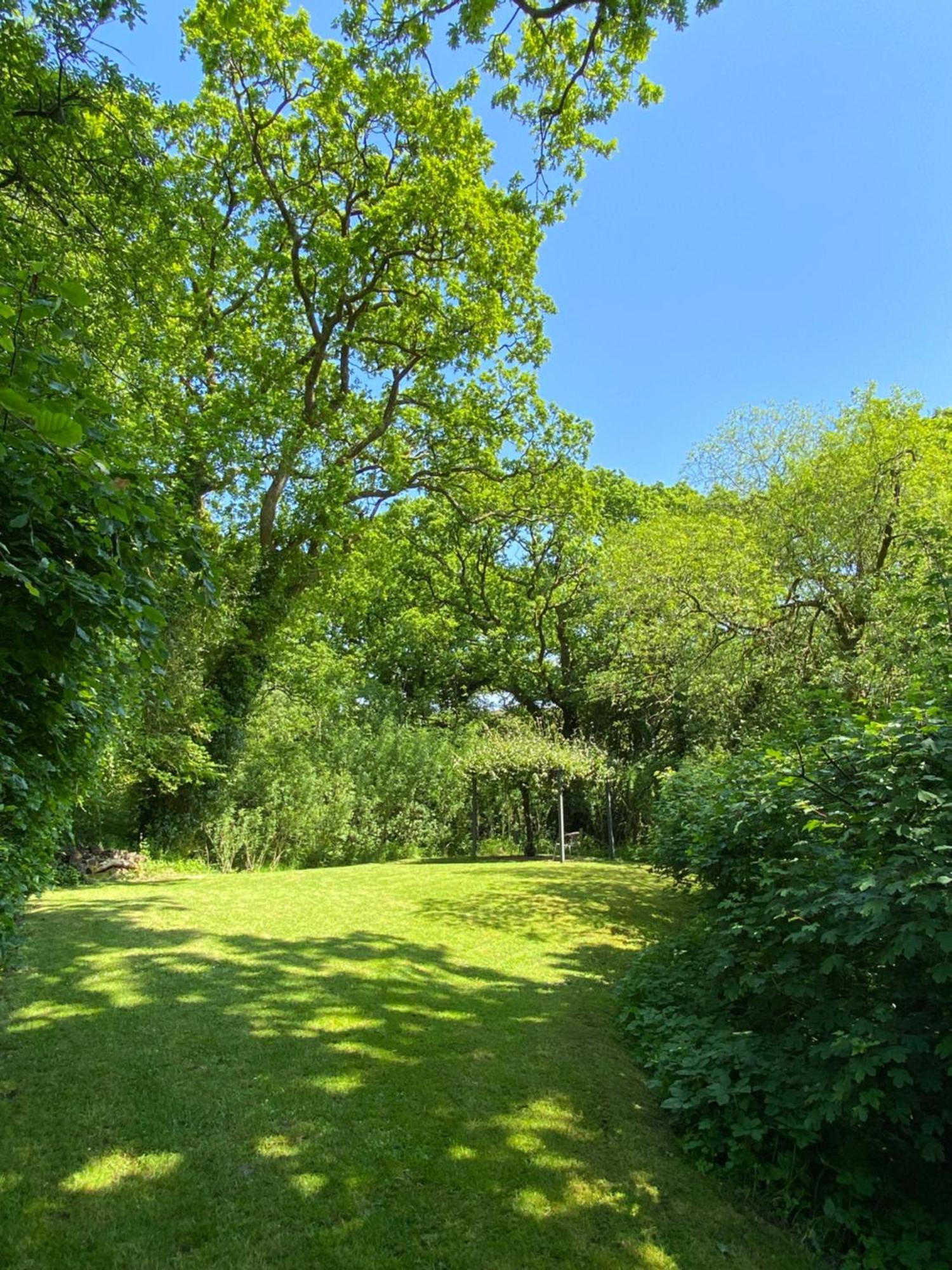 Petrock Holiday Cottages Newton Saint Petrock Room photo